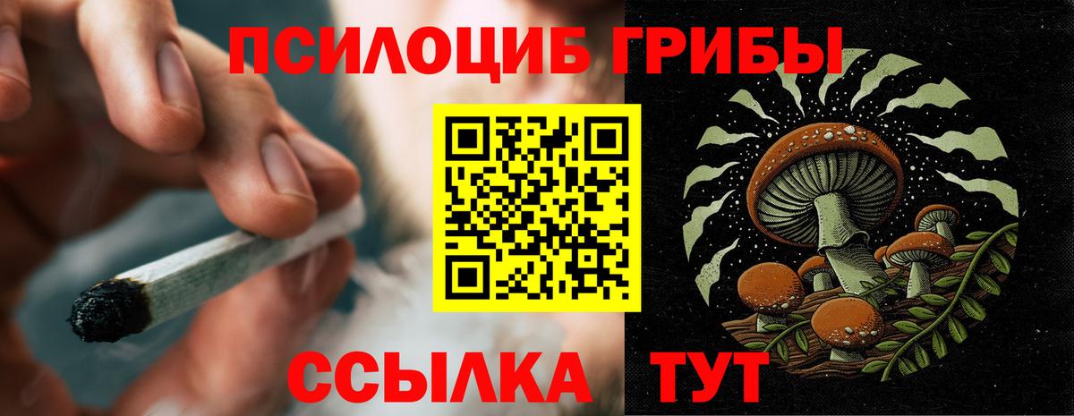 Малгобек  продажа наркотиков  Вход с VPN  Галлюциногенные грибы GOLDEN TEACHER  Псилоцибиновые грибы Cubensis 